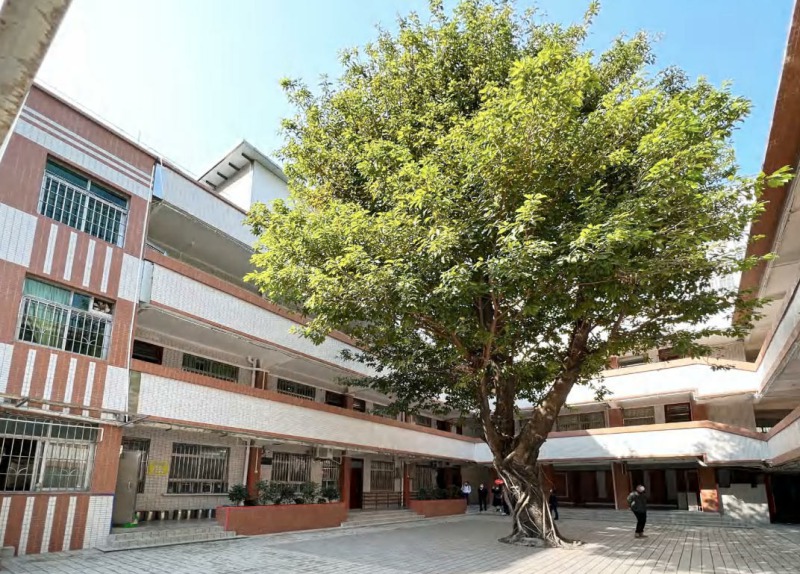 广州市海珠区汇源小学改造项目 广州市海珠区汇源小学改造项目